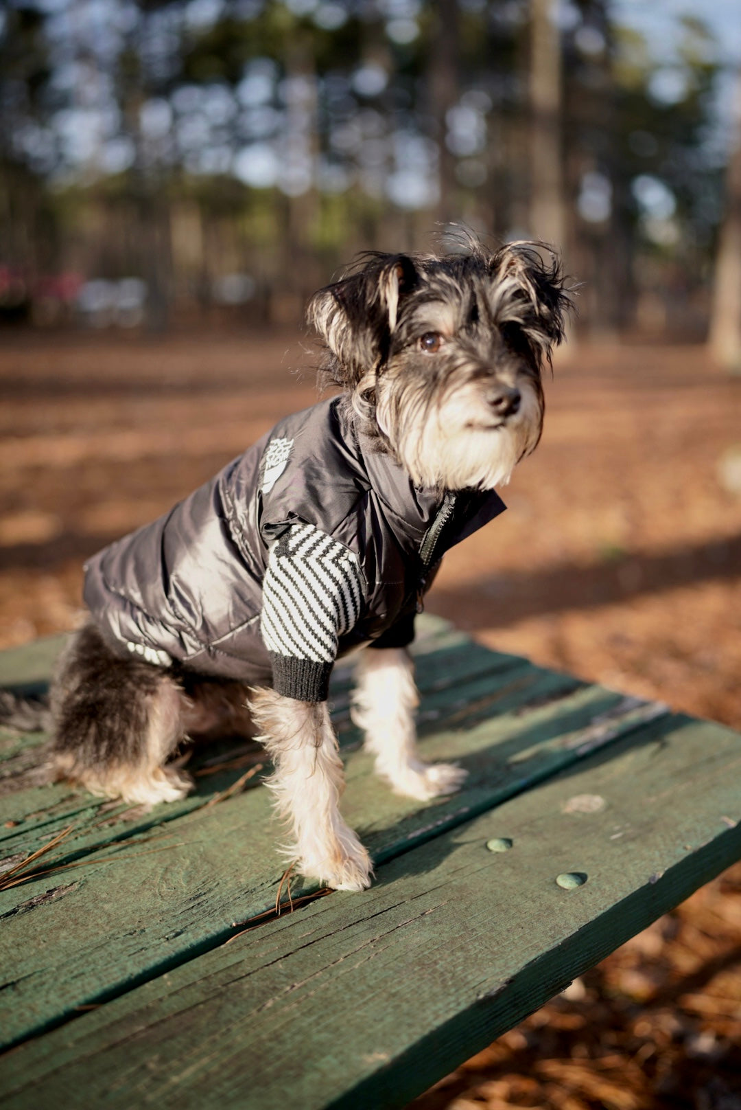 The Dog face puffer vest